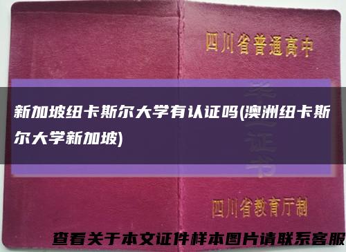 新加坡纽卡斯尔大学有认证吗(澳洲纽卡斯尔大学新加坡)缩略图