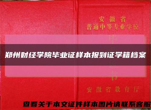 郑州财经学院毕业证样本报到证学籍档案缩略图