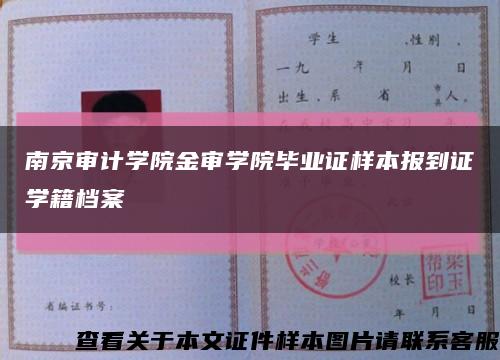 南京审计学院金审学院毕业证样本报到证学籍档案缩略图