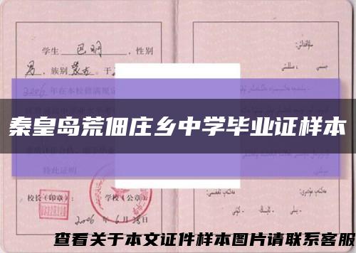秦皇岛荒佃庄乡中学毕业证样本缩略图