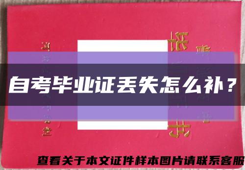 自考毕业证丢失怎么补？缩略图