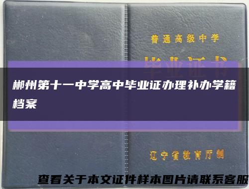 郴州第十一中学高中毕业证办理补办学籍档案缩略图