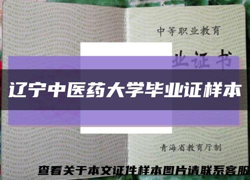 辽宁中医药大学毕业证样本缩略图