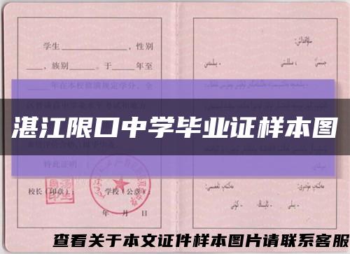 湛江限口中学毕业证样本图缩略图