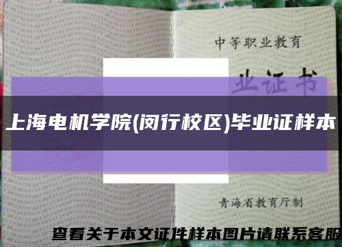 上海电机学院(闵行校区)毕业证样本缩略图