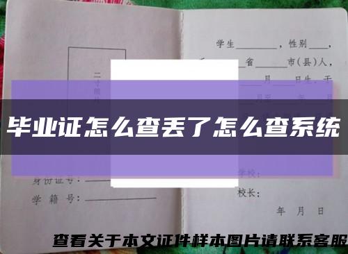 毕业证怎么查丢了怎么查系统缩略图
