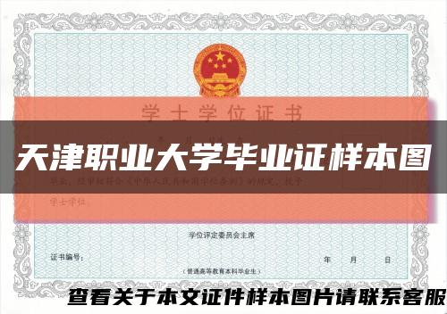 天津职业大学毕业证样本图缩略图
