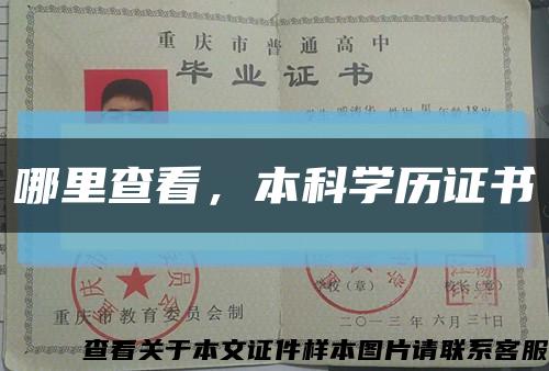 哪里查看，本科学历证书缩略图