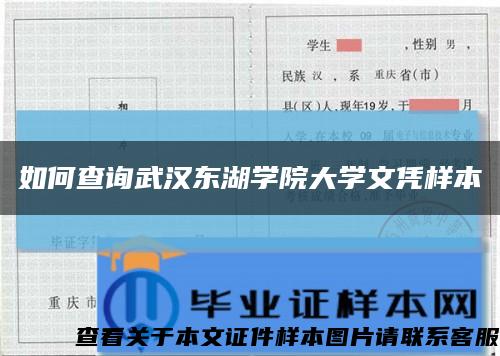如何查询武汉东湖学院大学文凭样本缩略图