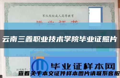 云南三鑫职业技术学院毕业证照片缩略图