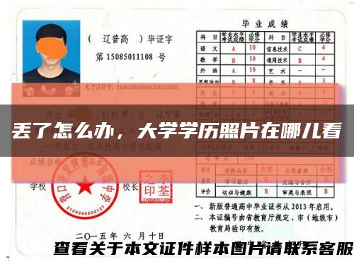 丢了怎么办，大学学历照片在哪儿看缩略图