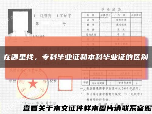 在哪里找，专科毕业证和本科毕业证的区别缩略图