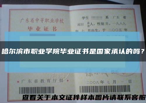哈尔滨市职业学院毕业证书是国家承认的吗？缩略图