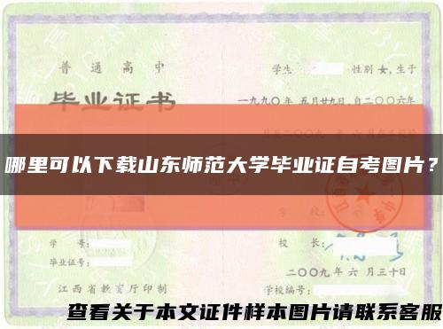 哪里可以下载山东师范大学毕业证自考图片？缩略图