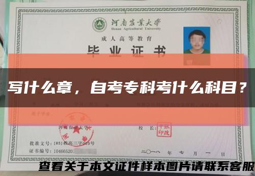 写什么章，自考专科考什么科目？缩略图