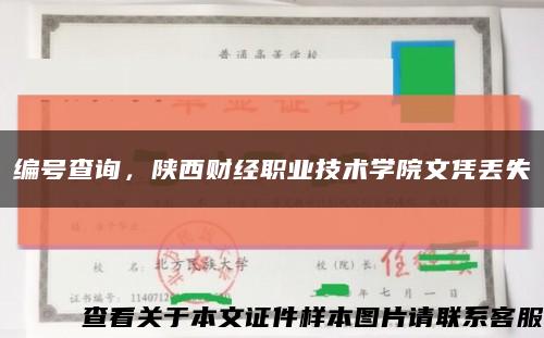 编号查询，陕西财经职业技术学院文凭丢失缩略图