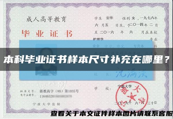 本科毕业证书样本尺寸补充在哪里？缩略图