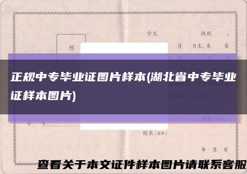 正规中专毕业证图片样本(湖北省中专毕业证样本图片)缩略图