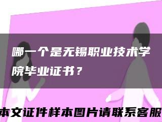 哪一个是无锡职业技术学院毕业证书？缩略图