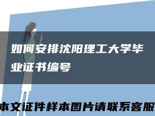 如何安排沈阳理工大学毕业证书编号缩略图