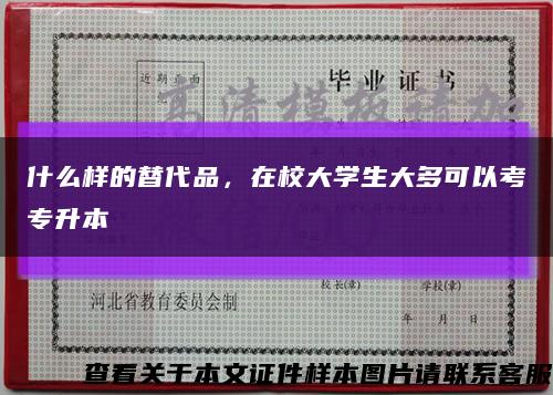 什么样的替代品，在校大学生大多可以考专升本缩略图