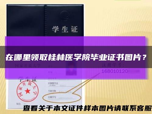 在哪里领取桂林医学院毕业证书图片？缩略图
