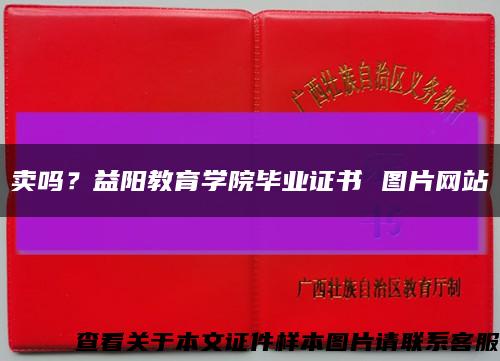 卖吗？益阳教育学院毕业证书 图片网站缩略图
