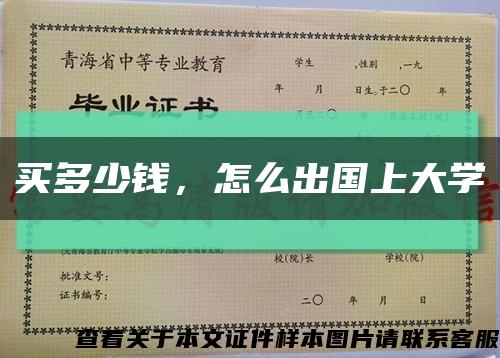 买多少钱，怎么出国上大学缩略图