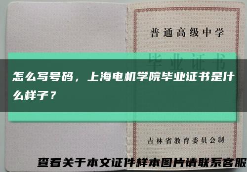 怎么写号码，上海电机学院毕业证书是什么样子？缩略图