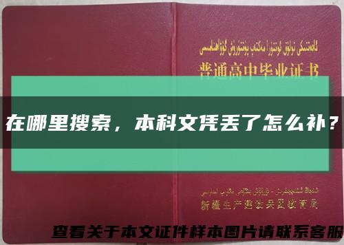 在哪里搜索，本科文凭丢了怎么补？缩略图