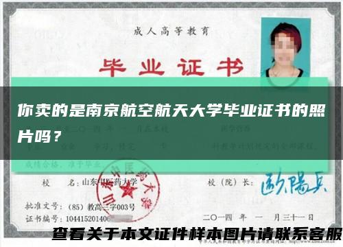 你卖的是南京航空航天大学毕业证书的照片吗？缩略图