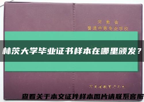 林茨大学毕业证书样本在哪里颁发？缩略图