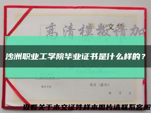 沙洲职业工学院毕业证书是什么样的？缩略图