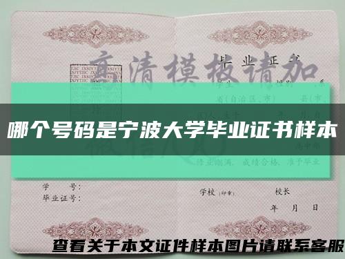 哪个号码是宁波大学毕业证书样本缩略图