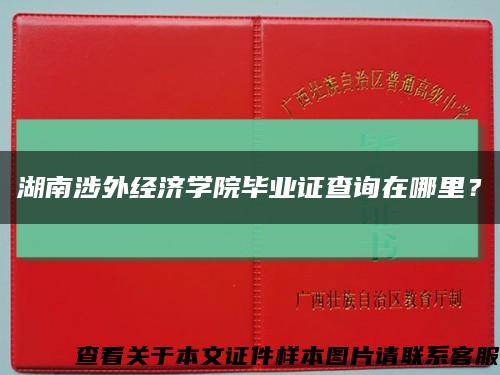 湖南涉外经济学院毕业证查询在哪里？缩略图