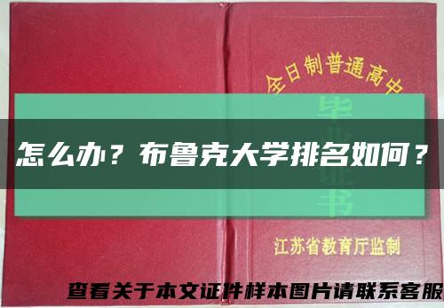 怎么办？布鲁克大学排名如何？缩略图