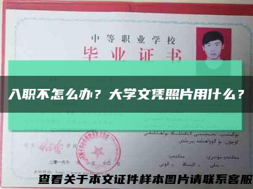 入职不怎么办？大学文凭照片用什么？缩略图