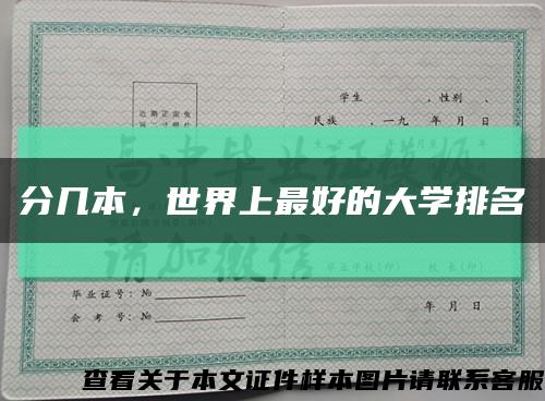 分几本，世界上最好的大学排名缩略图