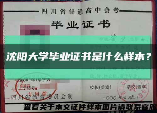 沈阳大学毕业证书是什么样本？缩略图
