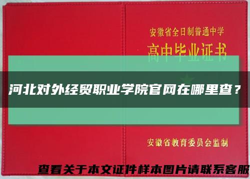 河北对外经贸职业学院官网在哪里查？缩略图