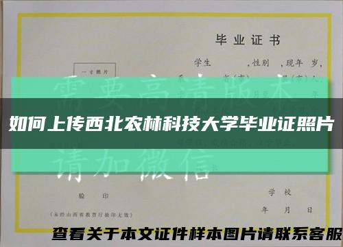如何上传西北农林科技大学毕业证照片缩略图