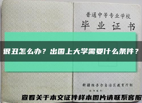 很丑怎么办？出国上大学需要什么条件？缩略图
