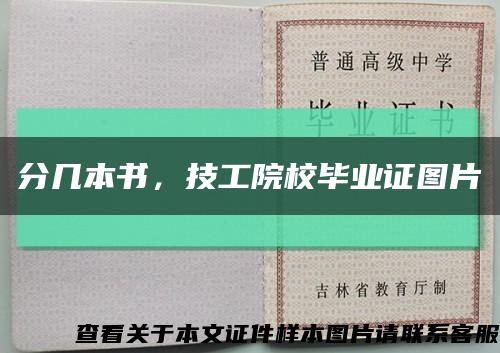 分几本书，技工院校毕业证图片缩略图