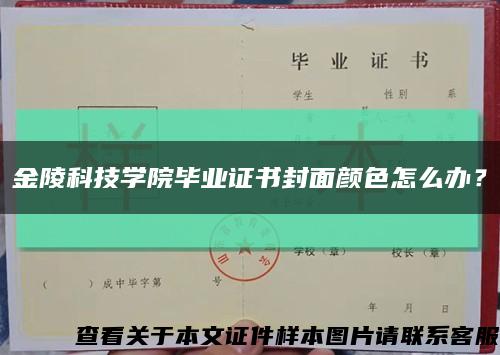 金陵科技学院毕业证书封面颜色怎么办？缩略图
