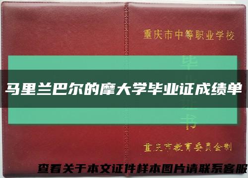 马里兰巴尔的摩大学毕业证成绩单缩略图