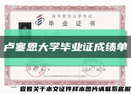 卢塞恩大学毕业证成绩单缩略图