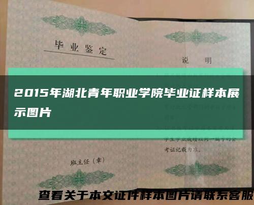 2015年湖北青年职业学院毕业证样本展示图片缩略图
