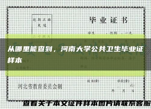 从哪里能查到，河南大学公共卫生毕业证样本缩略图