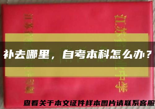 补去哪里，自考本科怎么办？缩略图