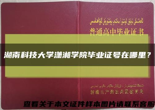 湖南科技大学潇湘学院毕业证号在哪里？缩略图